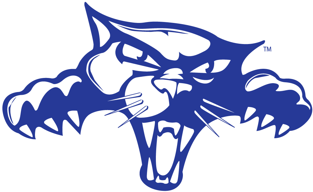 High Point Panthers 2004-Pres Alternate Logo v6 diy iron on heat transfer